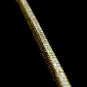 4.47 Cts 14k Yellow Gold Round Shape Tennis Necklace - Image 2