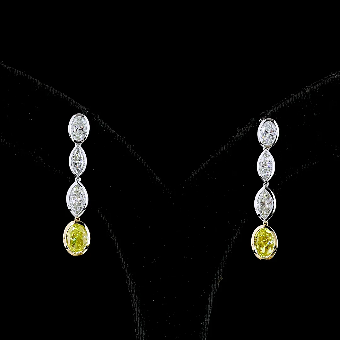 3.55 Cts 14k Two Tone Mix Shape Hanging Earring - Video