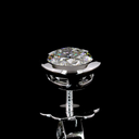 2.05 Cts 14k White Gold Oval Shape Studs Earring - Image 2